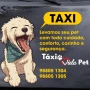 Foto 1:  Táxi Vida Pet